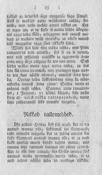 lehekülje pilt